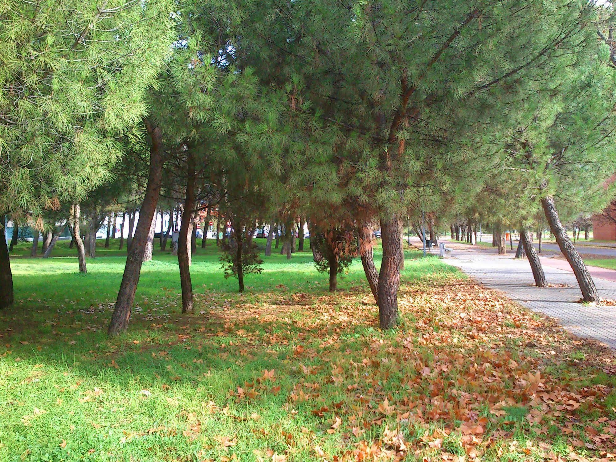 Residencia Universitaria Resa Giner De Los Rios Alcalá de Henares Exterior photo